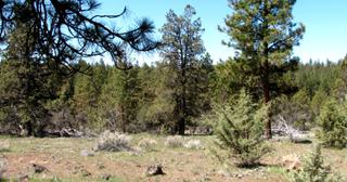 2.22 acres of land for sale in Klamath County, Oregon - KFFE Unit 2 B36 L26, photo 10 of 17