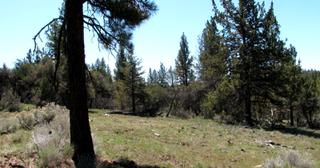 2.22 acres of land for sale in Klamath County, Oregon - KFFE Unit 2 B36 L26, photo 11 of 17