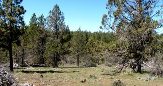 2.22 acres of land for sale in Klamath County, Oregon - KFFE Unit 2 B36 L26, photo 12 of 17