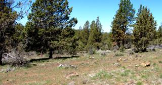 2.22 acres of land for sale in Klamath County, Oregon - KFFE Unit 2 B36 L26, photo 13 of 17
