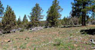 2.22 acres of land for sale in Klamath County, Oregon - KFFE Unit 2 B36 L26, photo 14 of 17