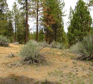 2.2 acres of land for sale in Klamath County, Oregon - KFE B39 L21