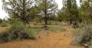 2.2 acres of land for sale in Klamath County, Oregon - KFE B39 L21, photo 2 of 25
