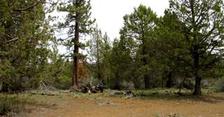 2.2 acres of land for sale in Klamath County, Oregon - KFE B39 L21, photo 4 of 25