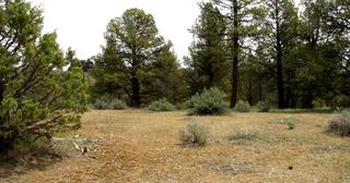 2.2 acres of land for sale in Klamath County, Oregon - KFE B39 L21, photo 6 of 25