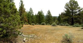2.2 acres of land for sale in Klamath County, Oregon - KFE B39 L21, photo 7 of 25