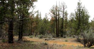 2.2 acres of land for sale in Klamath County, Oregon - KFE B39 L21, photo 8 of 25
