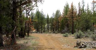 2.2 acres of land for sale in Klamath County, Oregon - KFE B39 L21, photo 9 of 25