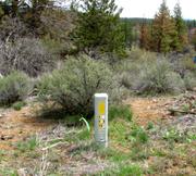 2.38 acres of land for sale in Klamath County, Oregon - KFE B38 L2