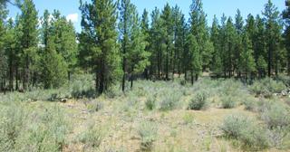 2.38 acres of land for sale in Klamath County, Oregon - KFE B36 L28, photo 7 of 13