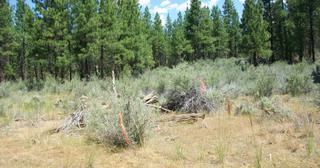 2.38 acres of land for sale in Klamath County, Oregon - KFE B36 L28, photo 8 of 13