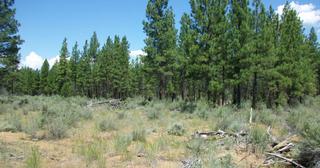 2.38 acres of land for sale in Klamath County, Oregon - KFE B36 L28, photo 9 of 13