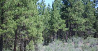 2.38 acres of land for sale in Klamath County, Oregon - KFE B36 L28, photo 11 of 13