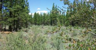 2.38 acres of land for sale in Klamath County, Oregon - KFE B36 L28, photo 12 of 13