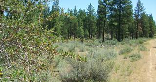 2.38 acres of land for sale in Klamath County, Oregon - KFE B36 L28, photo 13 of 13