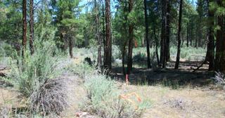 2.38 acres of land for sale in Klamath County, Oregon - KFE B36 L28, photo 1 of 13
