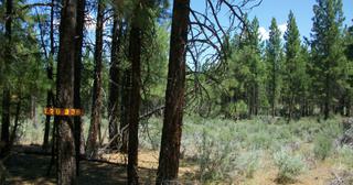 2.38 acres of land for sale in Klamath County, Oregon - KFE B36 L28, photo 3 of 13