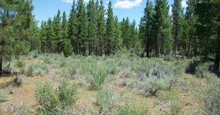 2.38 acres of land for sale in Klamath County, Oregon - KFE B36 L28, photo 4 of 13