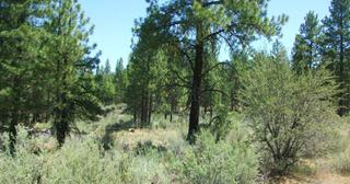2.38 acres of land for sale in Klamath County, Oregon - KFE B36 L28, photo 5 of 13