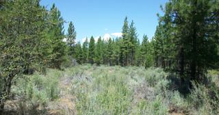 2.38 acres of land for sale in Klamath County, Oregon - KFE B36 L28, photo 6 of 13