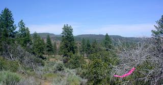 2.38 acres of land for sale in Klamath County, Oregon - KFE B38 L2, photo 10 of 14