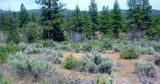 2.38 acres of land for sale in Klamath County, Oregon - KFE B38 L2, photo 11 of 14