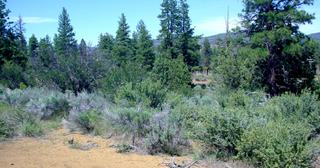 2.38 acres of land for sale in Klamath County, Oregon - KFE B38 L2, photo 12 of 14