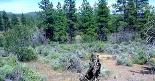 2.38 acres of land for sale in Klamath County, Oregon - KFE B38 L2, photo 13 of 14