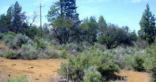2.38 acres of land for sale in Klamath County, Oregon - KFE B38 L2, photo 14 of 14