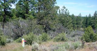 2.38 acres of land for sale in Klamath County, Oregon - KFE B38 L2, photo 5 of 14