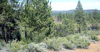 2.38 acres of land for sale in Klamath County, Oregon - KFE B38 L2, photo 8 of 14