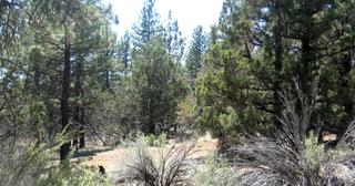 2.2 acres of land for sale in Klamath County, Oregon - KFE B39 L21, photo 23 of 25