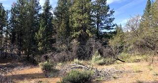 2.2 acres of land for sale in Klamath County, Oregon - KFE B39 L21, photo 11 of 25