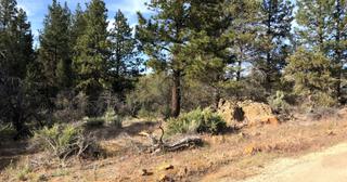 2.2 acres of land for sale in Klamath County, Oregon - KFE B39 L21, photo 13 of 25
