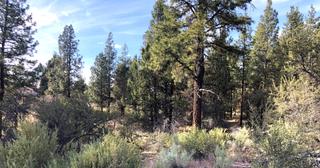 2.2 acres of land for sale in Klamath County, Oregon - KFE B39 L21, photo 14 of 25