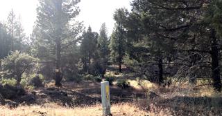 2.2 acres of land for sale in Klamath County, Oregon - KFE B39 L21, photo 16 of 25