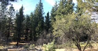 2.2 acres of land for sale in Klamath County, Oregon - KFE B39 L21, photo 18 of 25