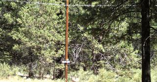 2.2 acres of land for sale in Klamath County, Oregon - KFE B39 L21, photo 20 of 25