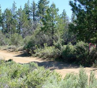 3.55 acres of land for sale in Klamath County, Oregon - KFE B39 L25