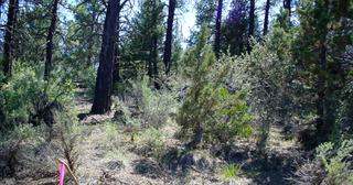 3.55 acres of land for sale in Klamath County, Oregon - KFE B39 L25, photo 3 of 13