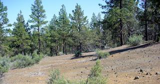 3.55 acres of land for sale in Klamath County, Oregon - KFE B39 L25, photo 5 of 13