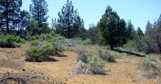 3.55 acres of land for sale in Klamath County, Oregon - KFE B39 L25, photo 6 of 13