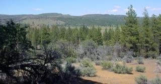 3.55 acres of land for sale in Klamath County, Oregon - KFE B39 L25, photo 7 of 13