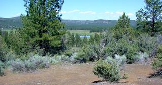 3.55 acres of land for sale in Klamath County, Oregon - KFE B39 L25, photo 10 of 13