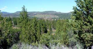 3.55 acres of land for sale in Klamath County, Oregon - KFE B39 L25, photo 11 of 13