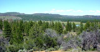 3.55 acres of land for sale in Klamath County, Oregon - KFE B39 L25, photo 12 of 13