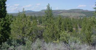 3.55 acres of land for sale in Klamath County, Oregon - KFE B39 L25, photo 13 of 13