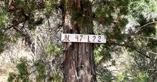 KFE B47 L22 - photo 1