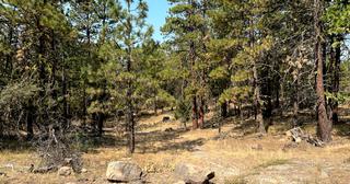 2.34 acres of land for sale in Klamath County, Oregon - KFFE Unit 1 B15 L3, photo 6 of 15