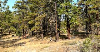 2.34 acres of land for sale in Klamath County, Oregon - KFFE Unit 1 B15 L3, photo 7 of 15